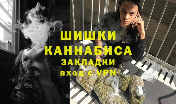 МДПВ Бронницы