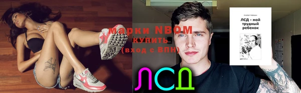 сатива Беломорск