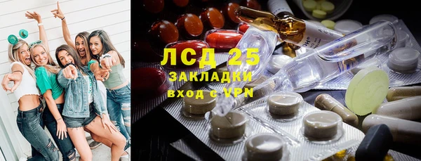 трава Верея