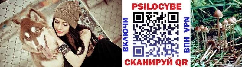 купить   Городец  Псилоцибиновые грибы Magic Shrooms 