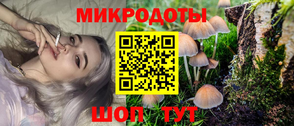 Галлюциногенные грибы прущие грибы  Вход с VPN  Городец 